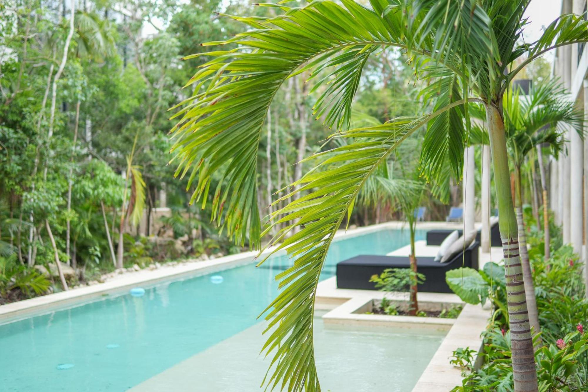 Apartment Elegant In Holistika Your Sanctuary *